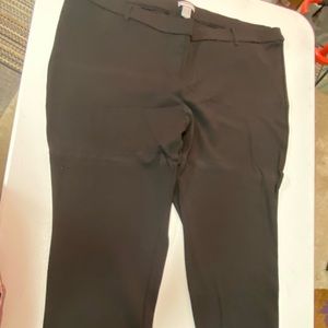 Massini essentials straight leg skinny trouser knit pants 3X